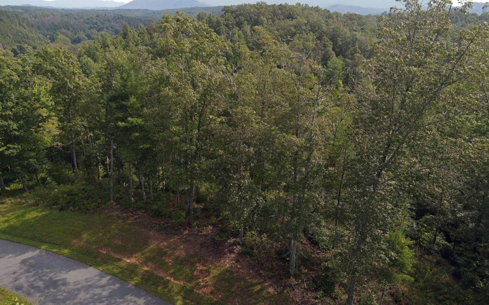 Image 2: Additional View