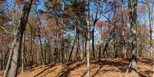 Lot 40 Preserve Trail