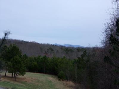 LT 53 Clay Drive
