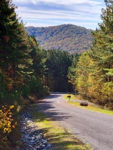 Lot 6 Black Bear Ridge Road