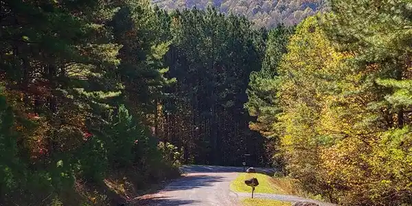 Lot 6 Black Bear Ridge Road