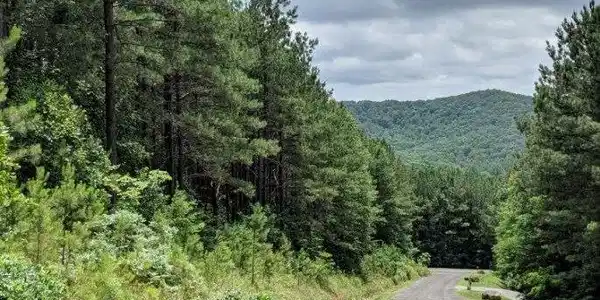 Lot 7 Ridge Top Drive