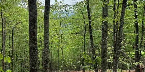 Lot 4-25 Sahkanaga Drive