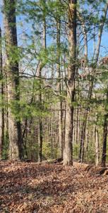 388 Country Hill Road
