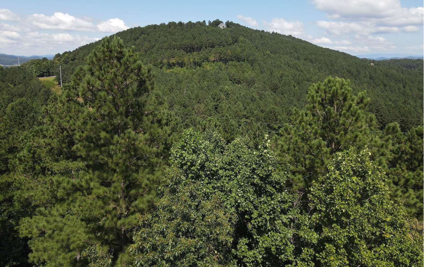 Image 2: Additional View