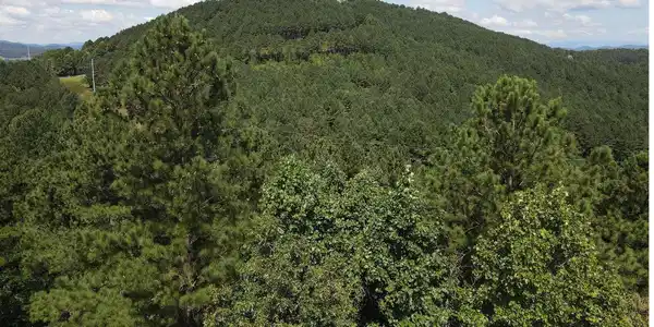 Image 2: Additional View