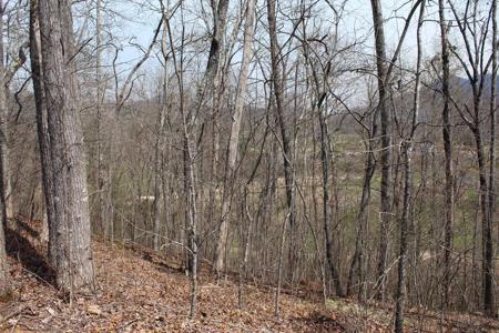 Lot 86A Licklog Ridge