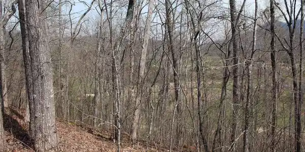 Lot 86A Licklog Ridge