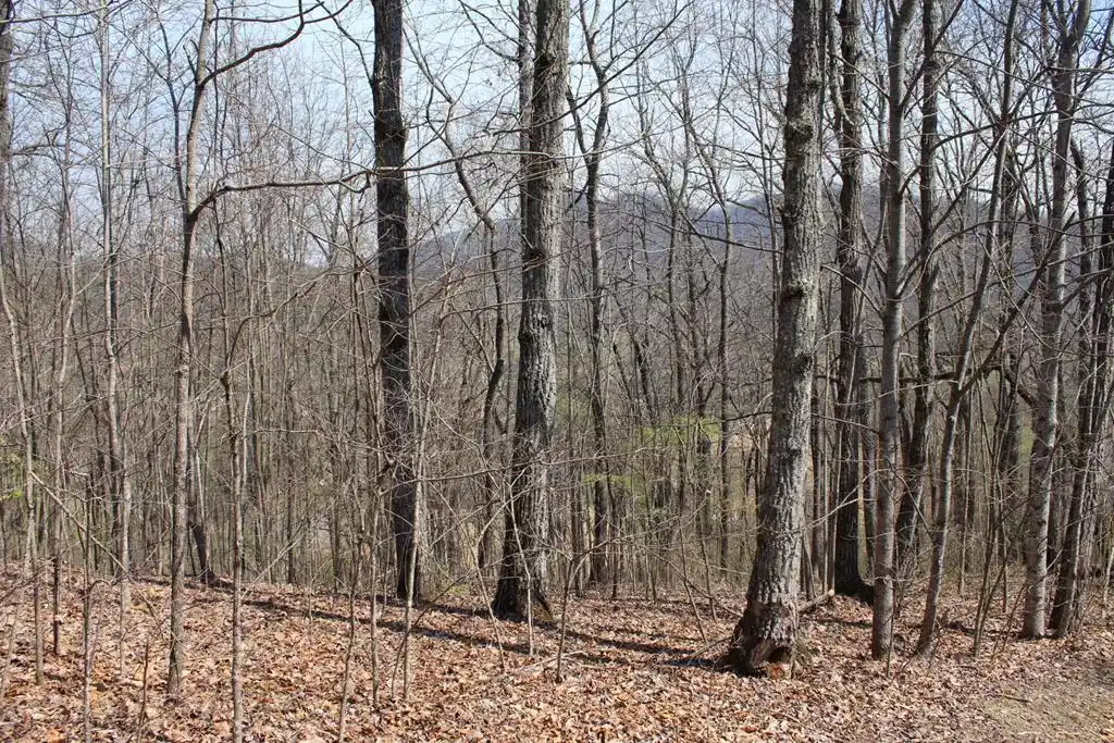 Image 1: Main View