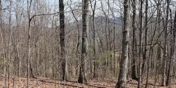 Lot 87A Licklog Ridge