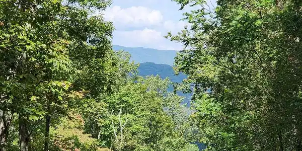 Lakeview Heights