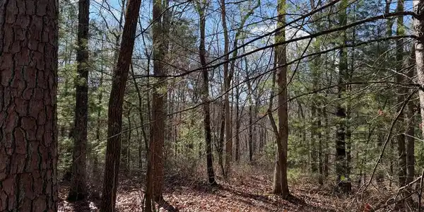 Lot 20 Yellow Maple Lane