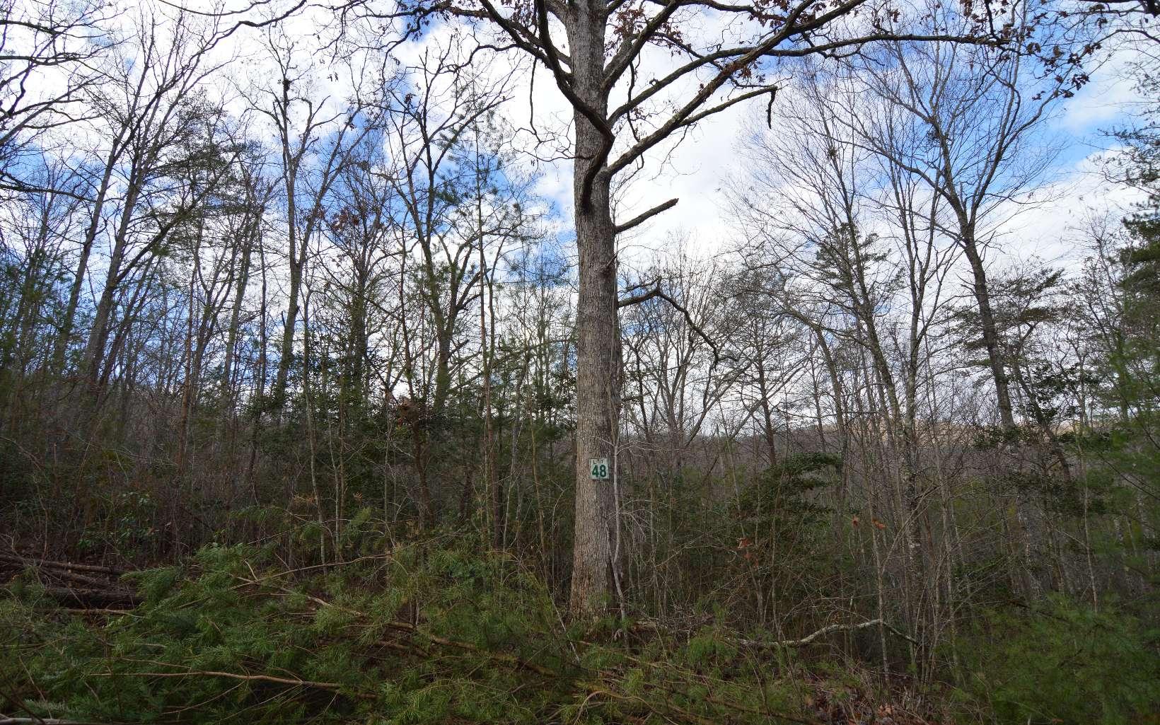 Image 4: Additional View