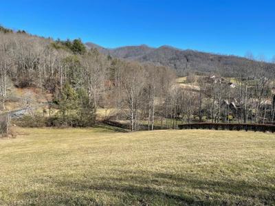 Lot 21C Ash Branch Circle