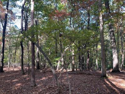 Lot 4 Covered Bridge Road