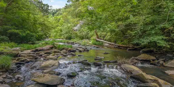 1 Carver Mill Road