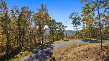 Lot 59 Ridge Line Trail