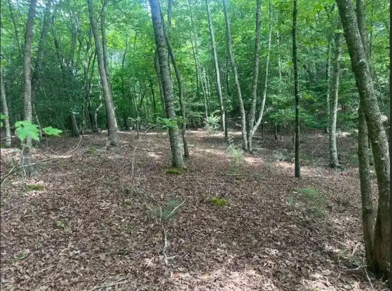 Image 1: Main View