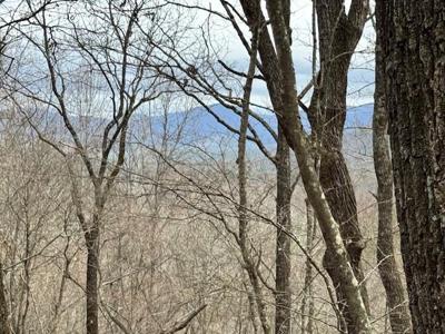 Lot 15 Whisenant Mountain Road