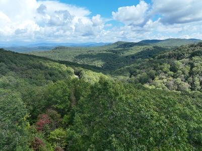 235 Andes Ridge