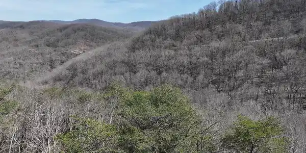 200 Stone Cliff Drive