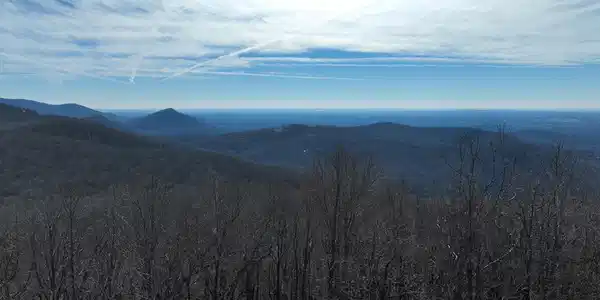 256 Blood Root Trail