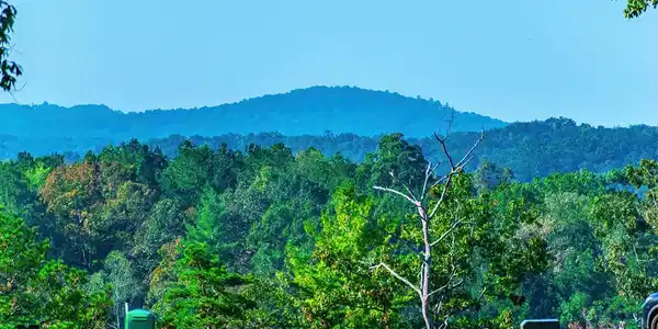 Lot 50 Jakes Landing Way