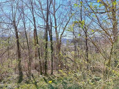 631 Mcridge Road