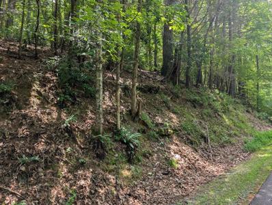 Lot P1 Goldmine Drive