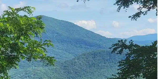 Image 2: Additional View