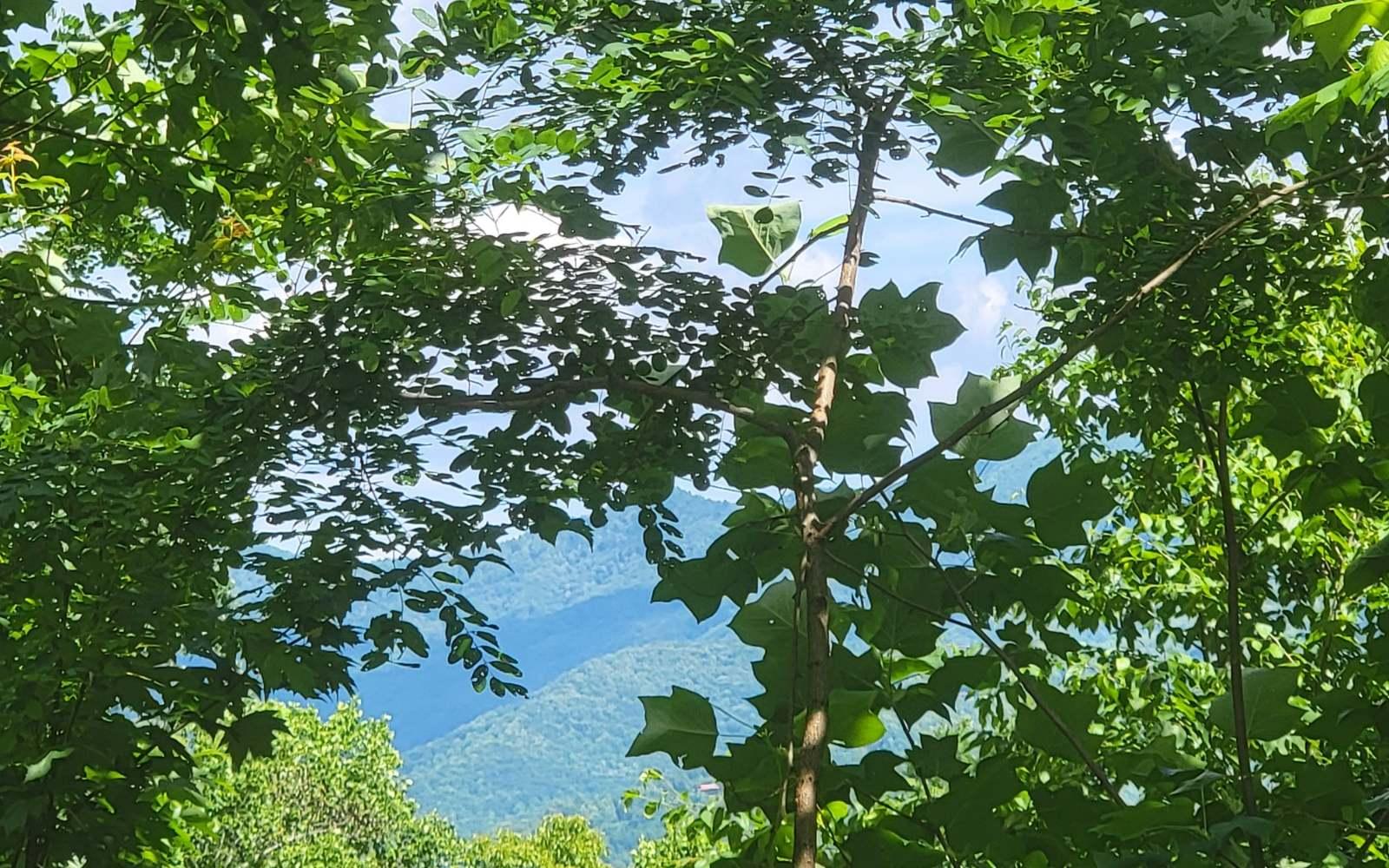 Image 3: Additional View