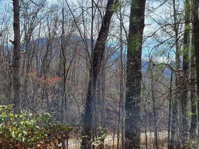 14 Flaming Ridge