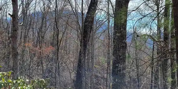 14 Flaming Ridge