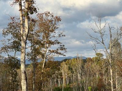 Lot 104 High River Road