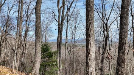 Lot 71 Chicory Drive W