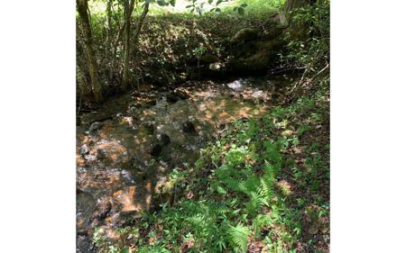 LOT20 Bryant Cove Road