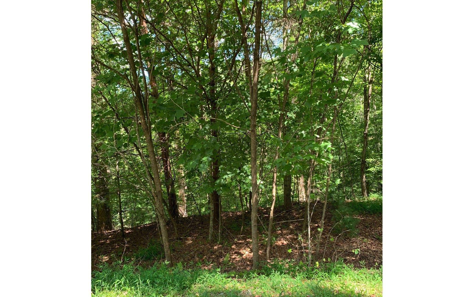 Image 2: Additional View