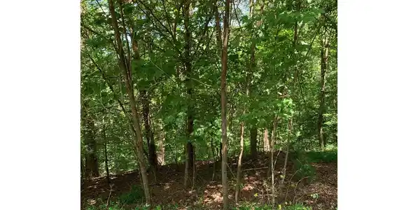 Image 2: Additional View