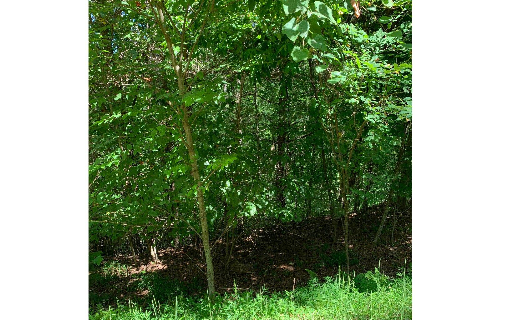 Image 4: Additional View