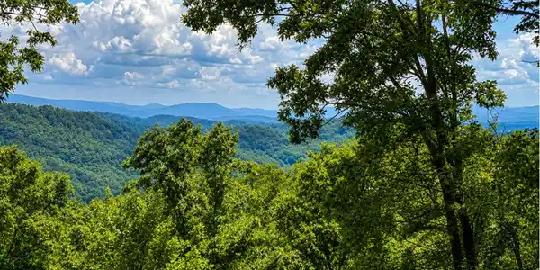 Image 2: Long Range View, There's nothing quite like the Aska Adventure Area, which offers all the amenities just minutes away.