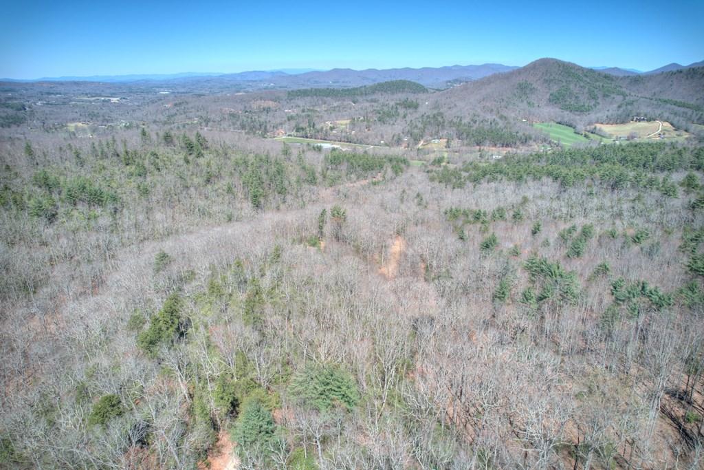 Image 2: Aerial