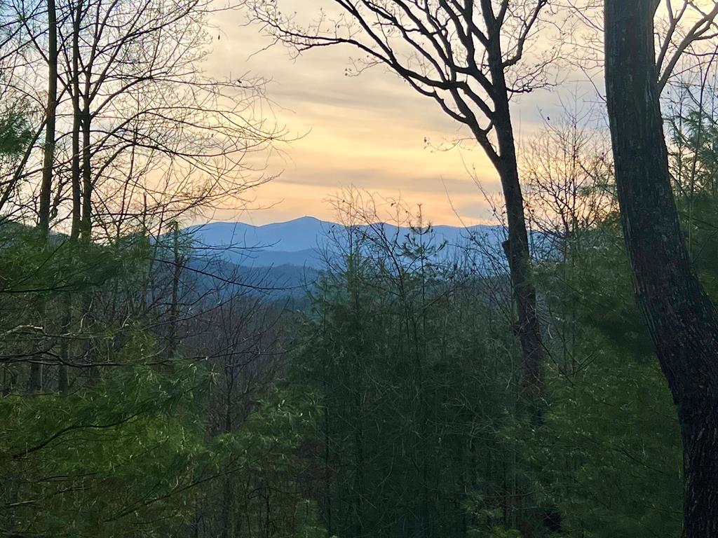 Image 4: Brasstown Bald
