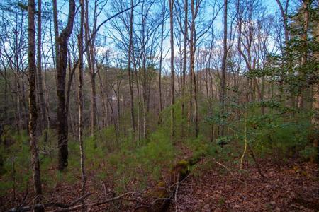 Lot 1 Rock Creek