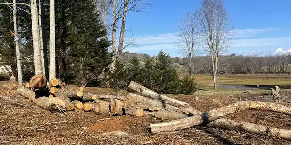 Lot 1&1A Sneaking Creek Drive
