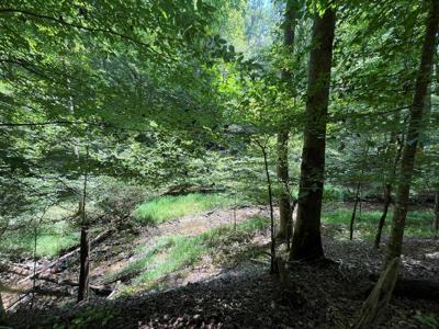Lot 223 Bowline Drive