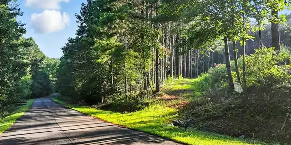 31&32 Foxpaw Leaf Lane
