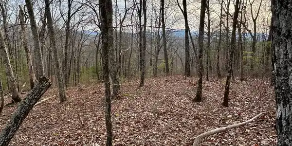 Lot 25 Mission Ridge Drive
