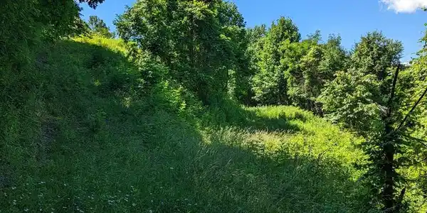 Lot 2 Hickory Ridge