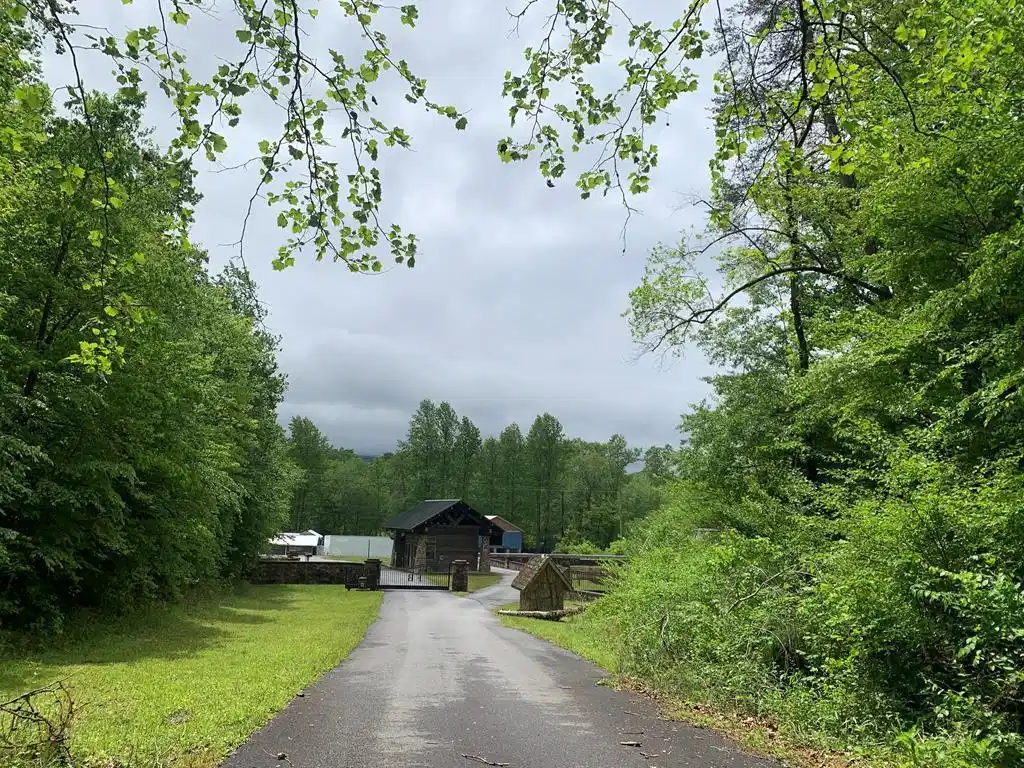 Image 1: Main View