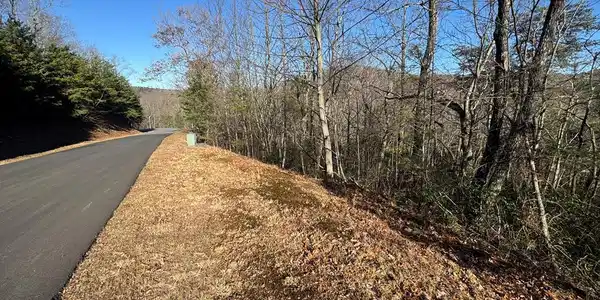 Lot 228 Andes Ridge